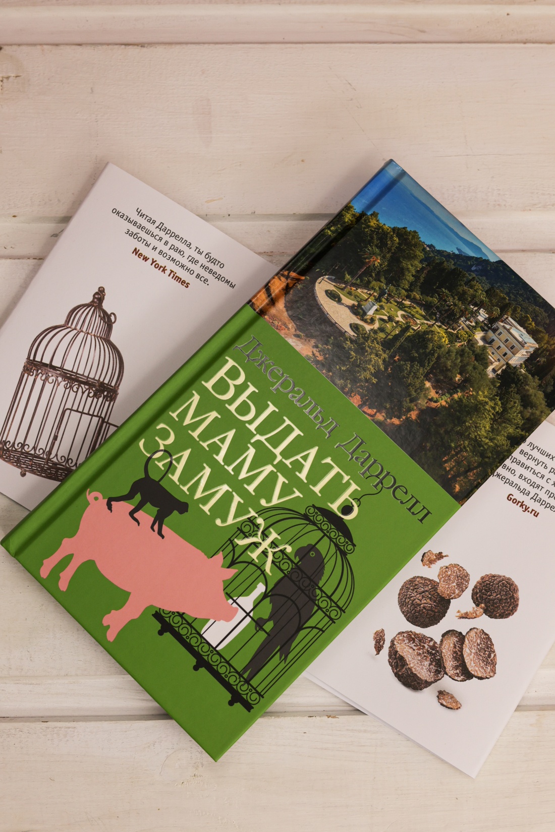 Промо материал к книге "Выдать маму замуж" №8