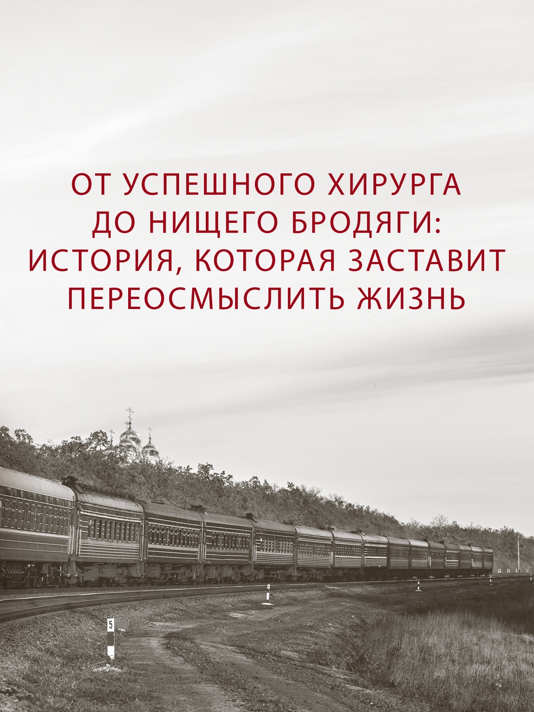 Промо материал к книге "Доктор" №0