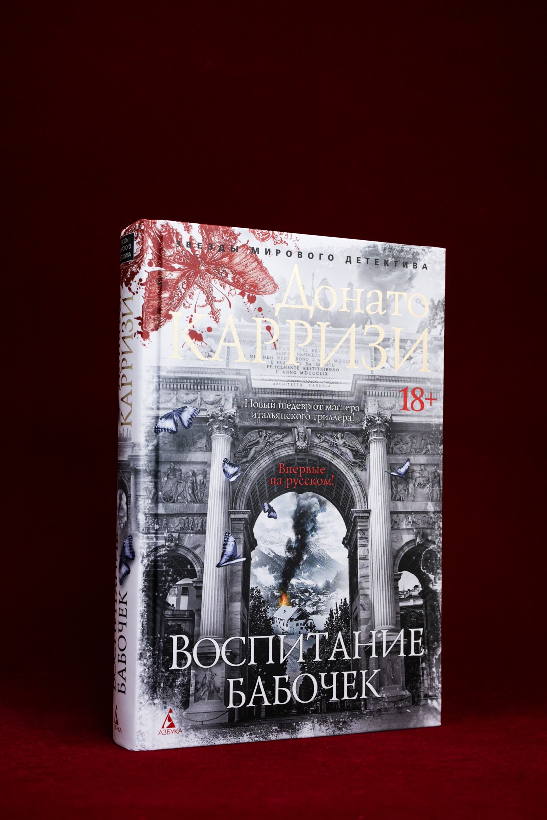 Промо материал к книге "Воспитание бабочек" №6