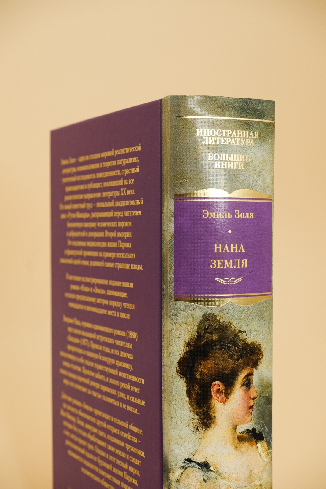 Промо материал к книге "Нана. Земля" №5