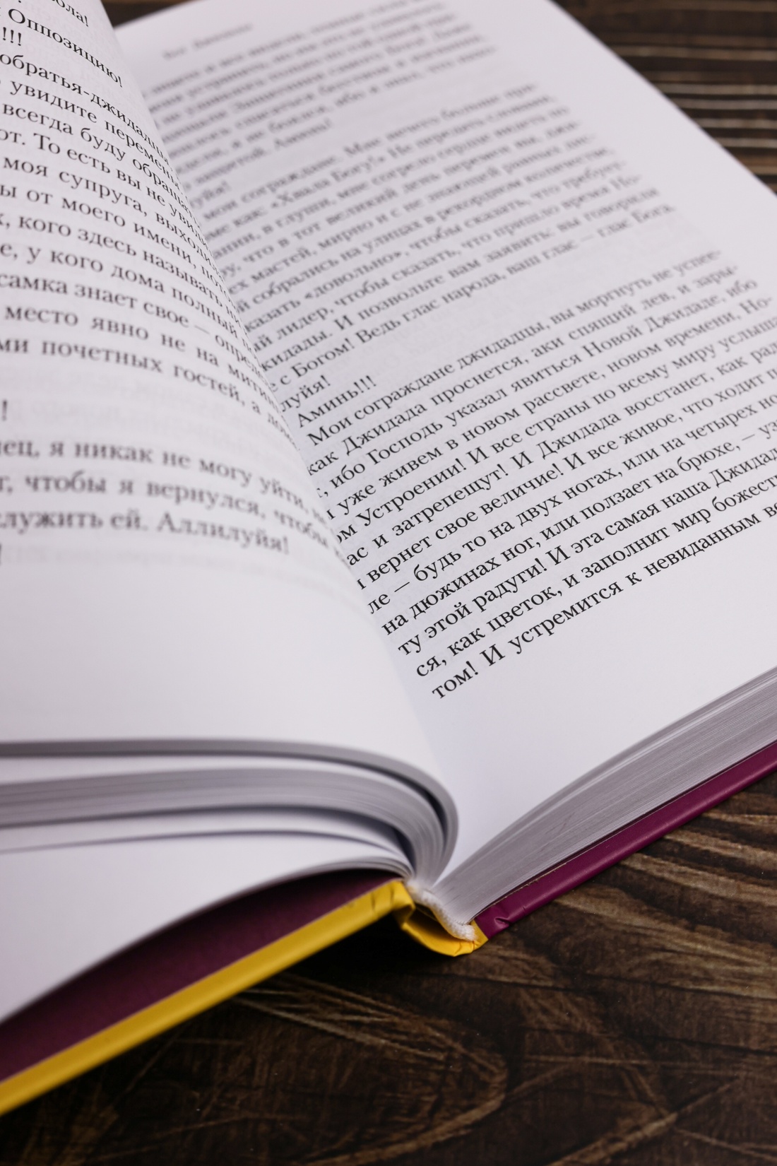 Промо материал к книге "Слава" №8