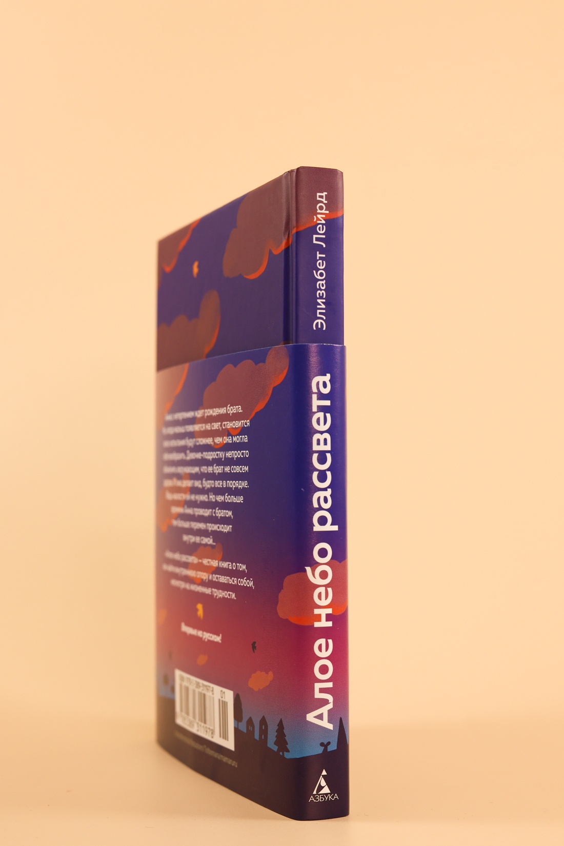 Промо материал к книге "Алое небо рассвета" №6