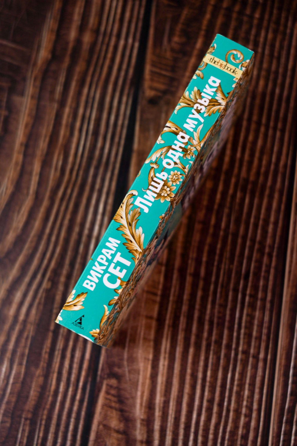 Промо материал к книге "Лишь одна музыка (мягкая обложка)" №5