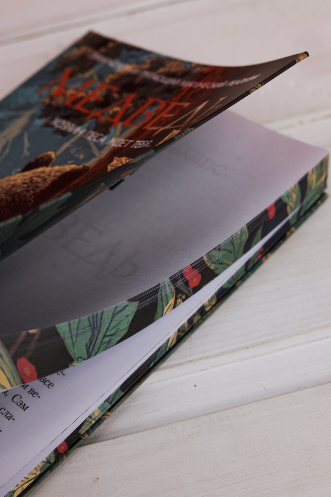 Промо материал к книге "Медведь" №10