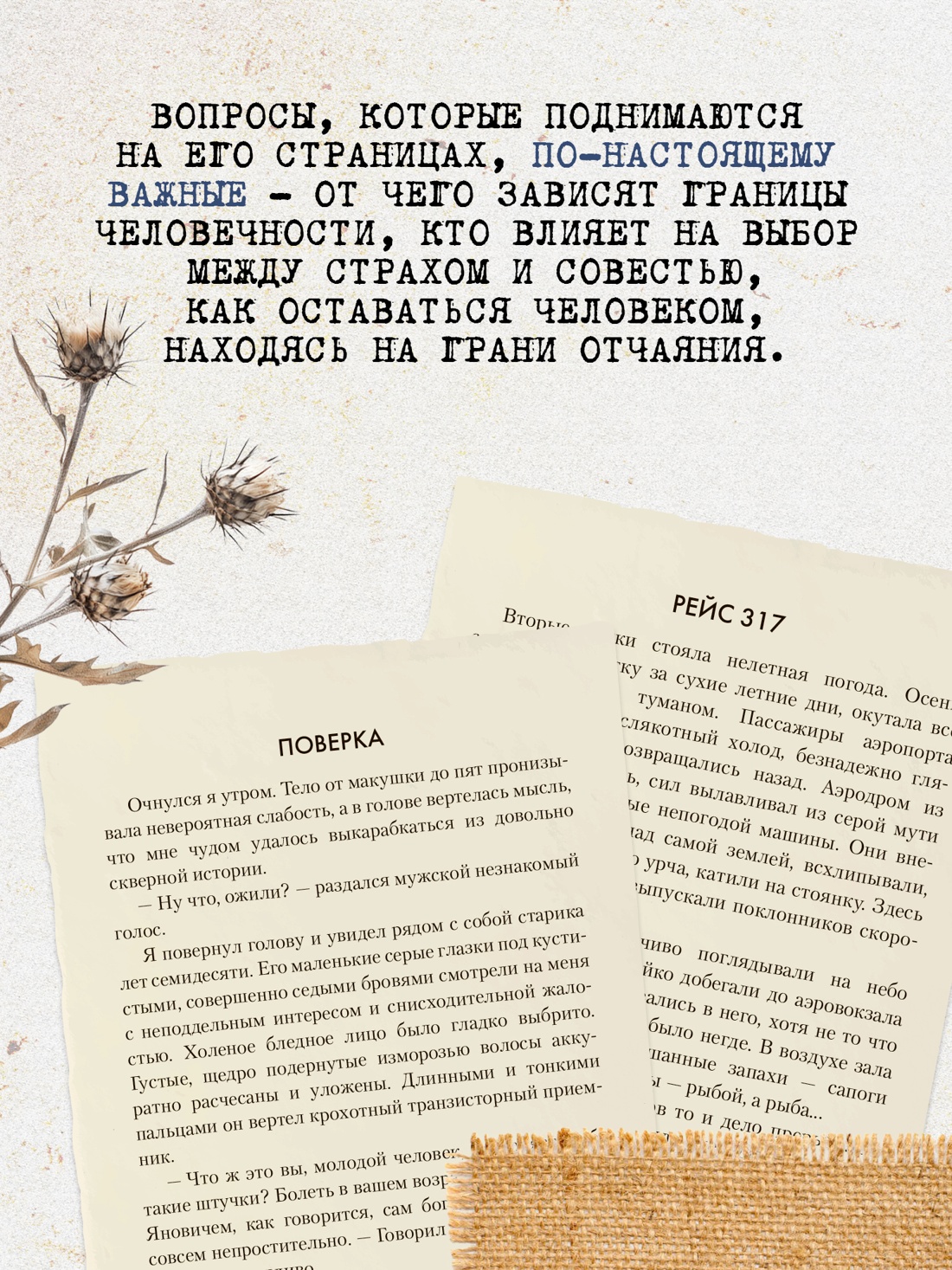 Промо материал к книге "Рейс 317" №3