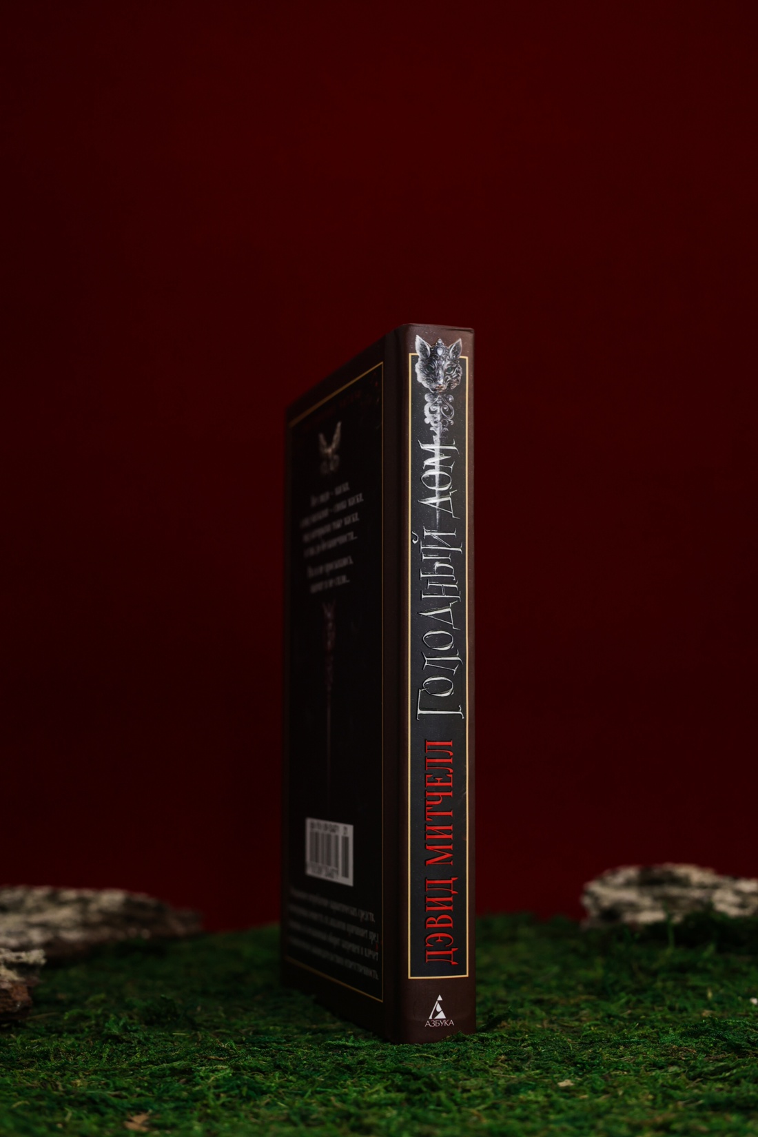 Промо материал к книге "Голодный дом (Настроение читать)" №9