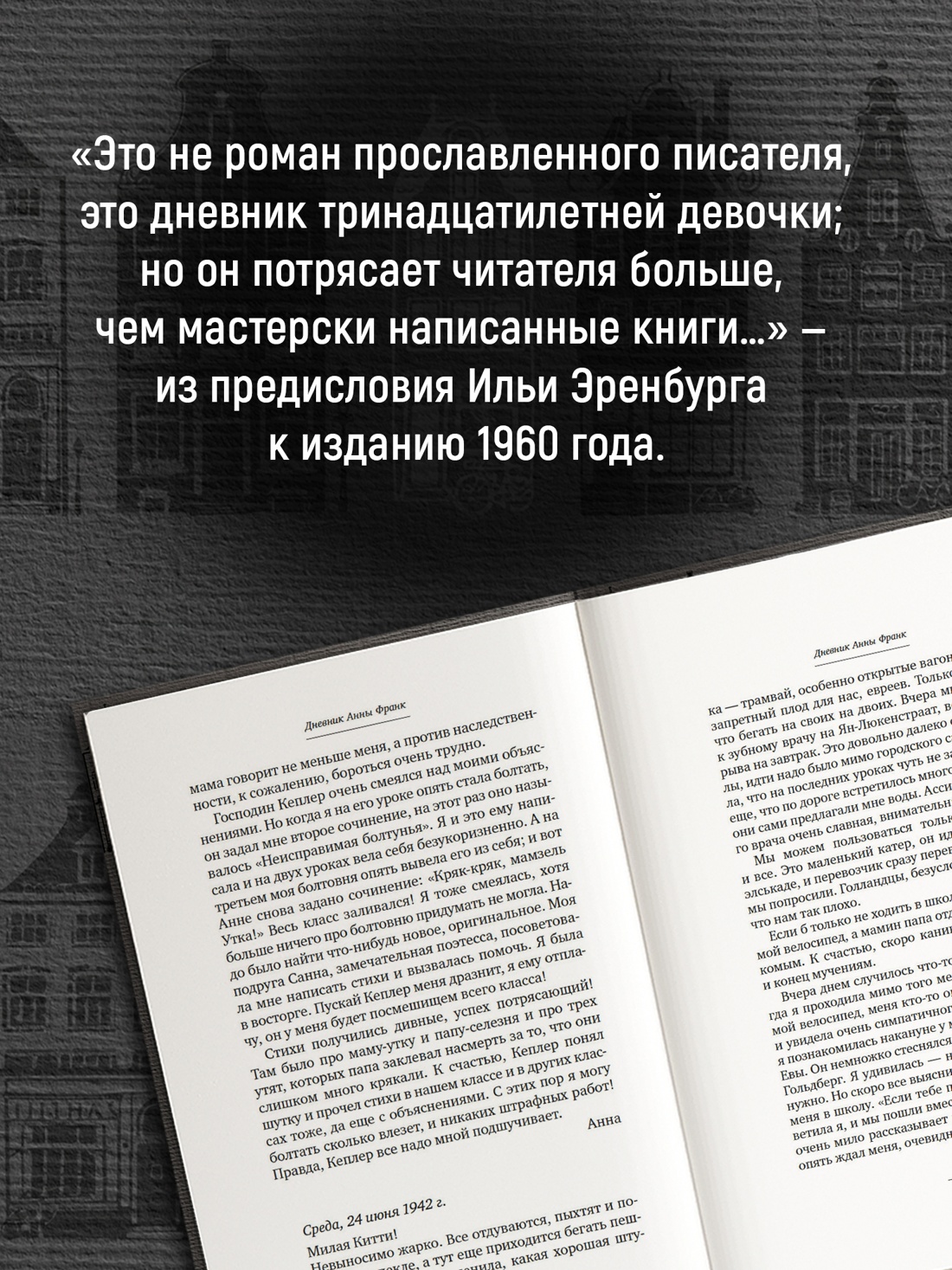 Промо материал к книге "Дневник Анны Франк" №2