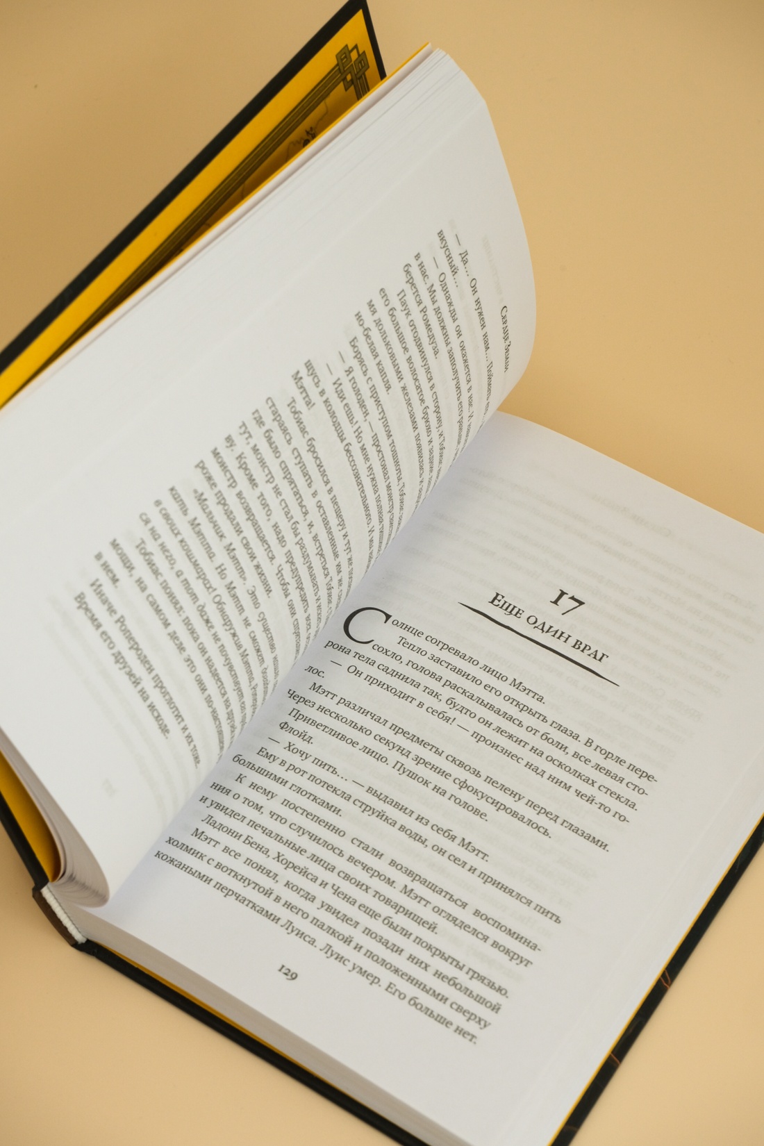 Промо материал к книге "Другой мир. Книга 3. Сердце Земли" №7