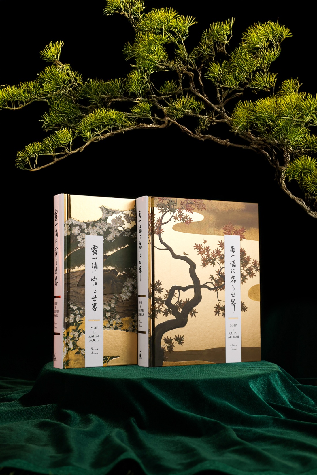 Промо материал к книге "Мир в капле. Комплект из 2-х книг в коробе" №0