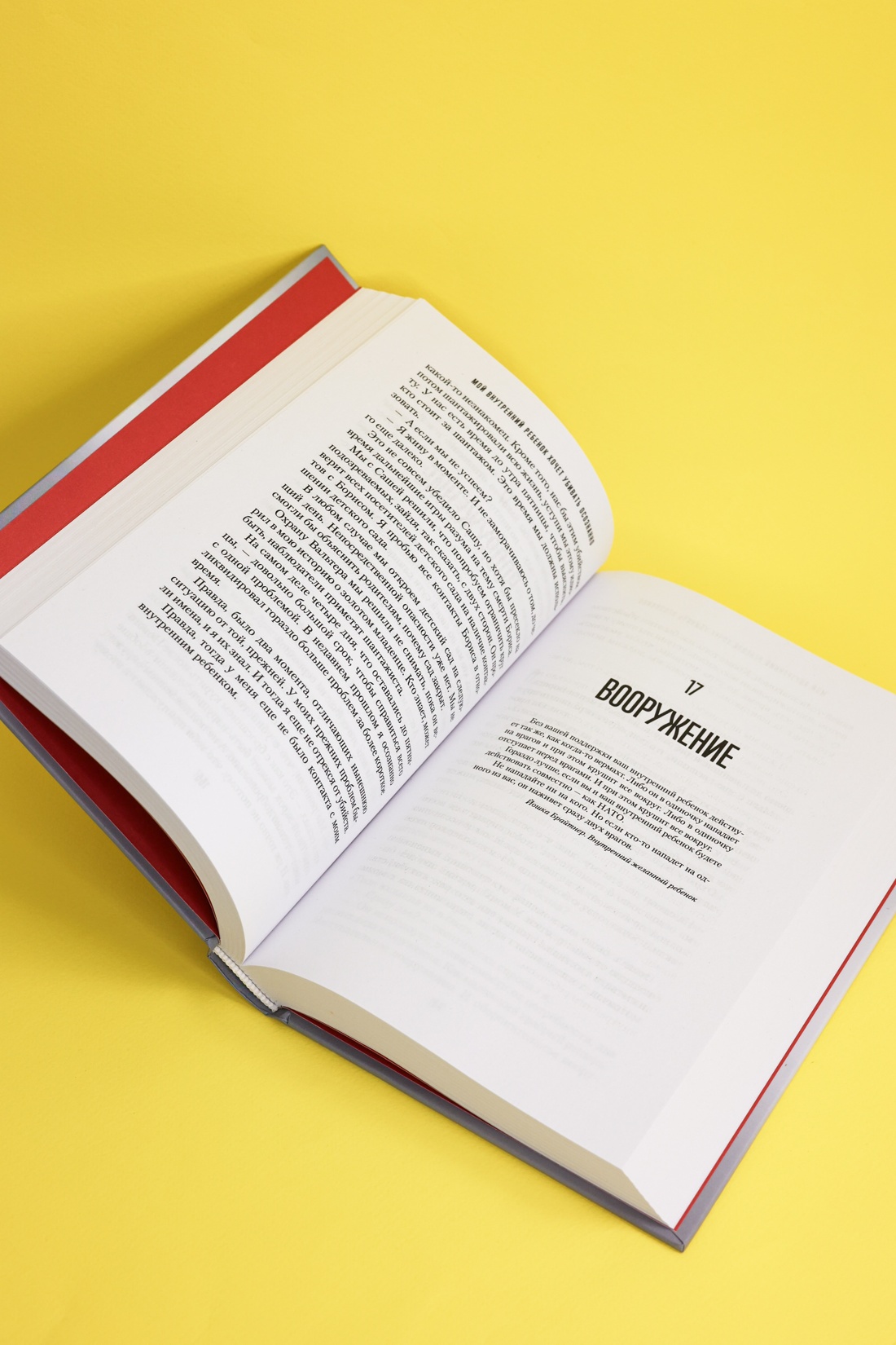 Промо материал к книге "Мой внутренний ребенок хочет убивать осознанно" №7