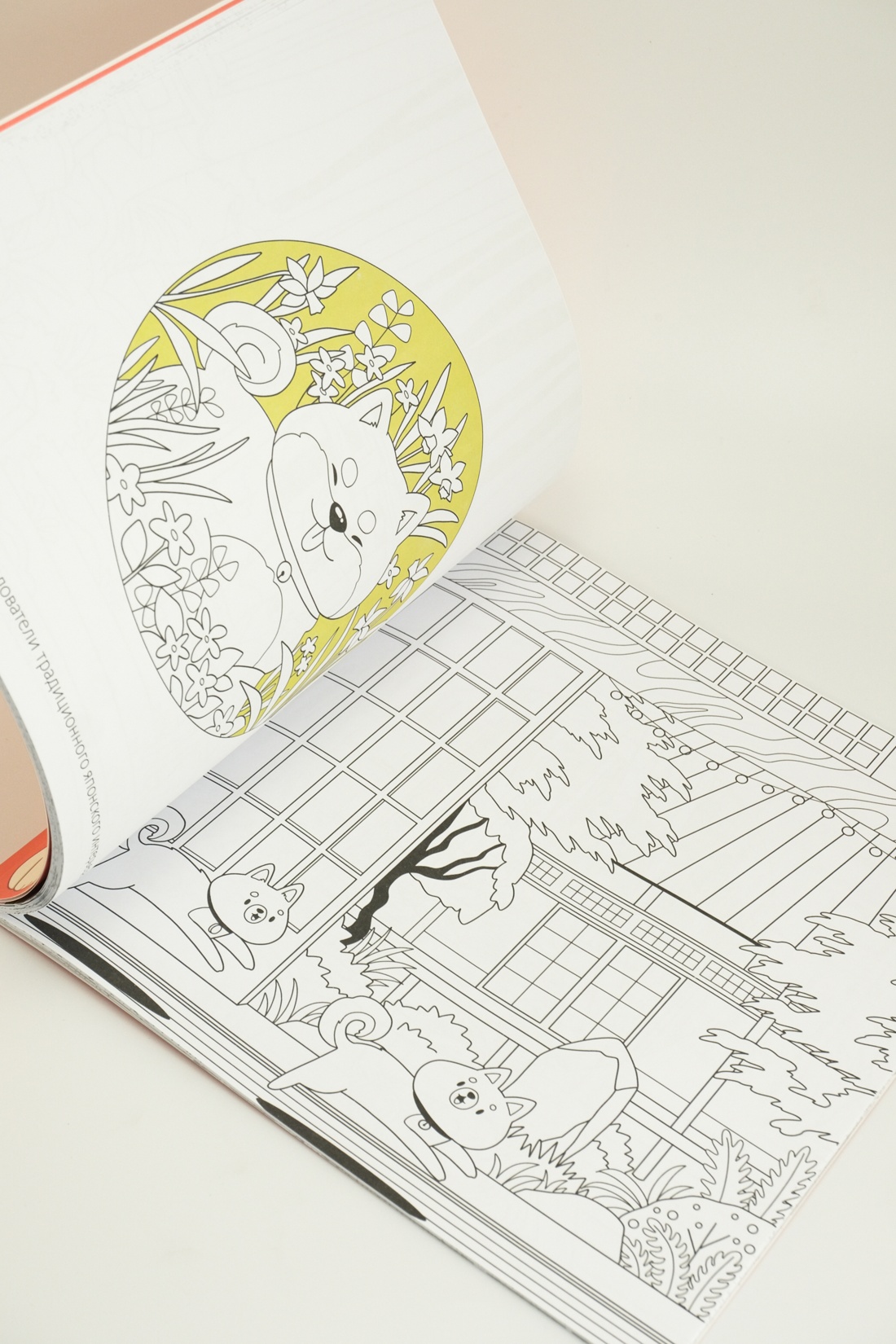 Промо материал к книге "Япония" №11