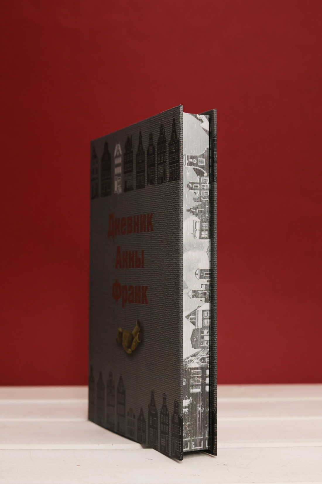 Промо материал к книге "Дневник Анны Франк" №5