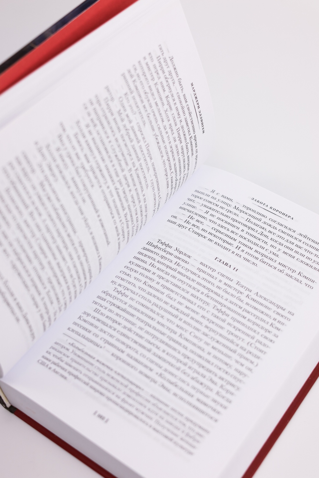 Промо материал к книге "Срочно нужен гробовщик" №8