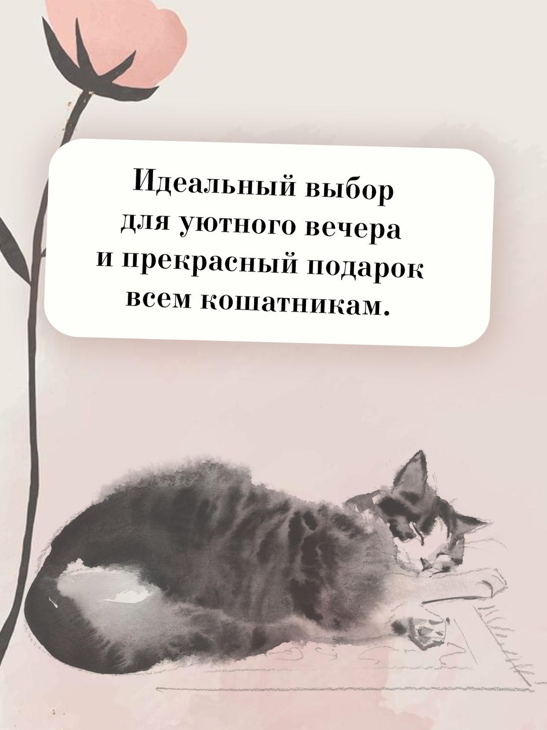 Промо материал к книге "Прощание с котом" №4