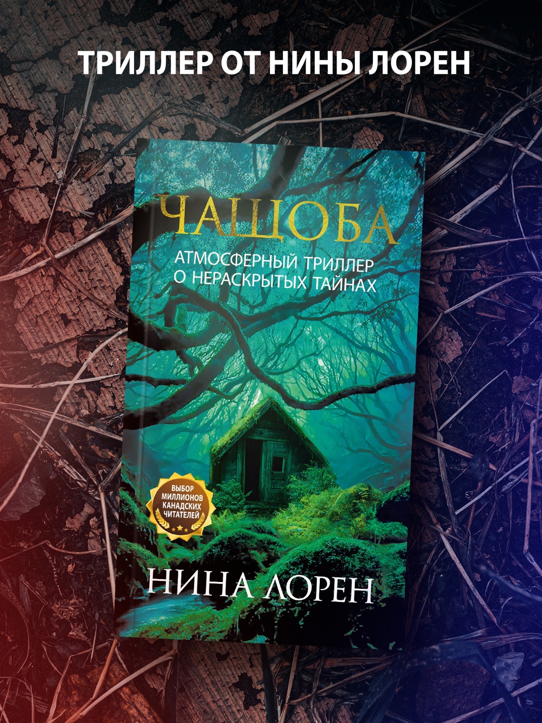 Промо материал к книге "Тринадцать лет тишины" №2