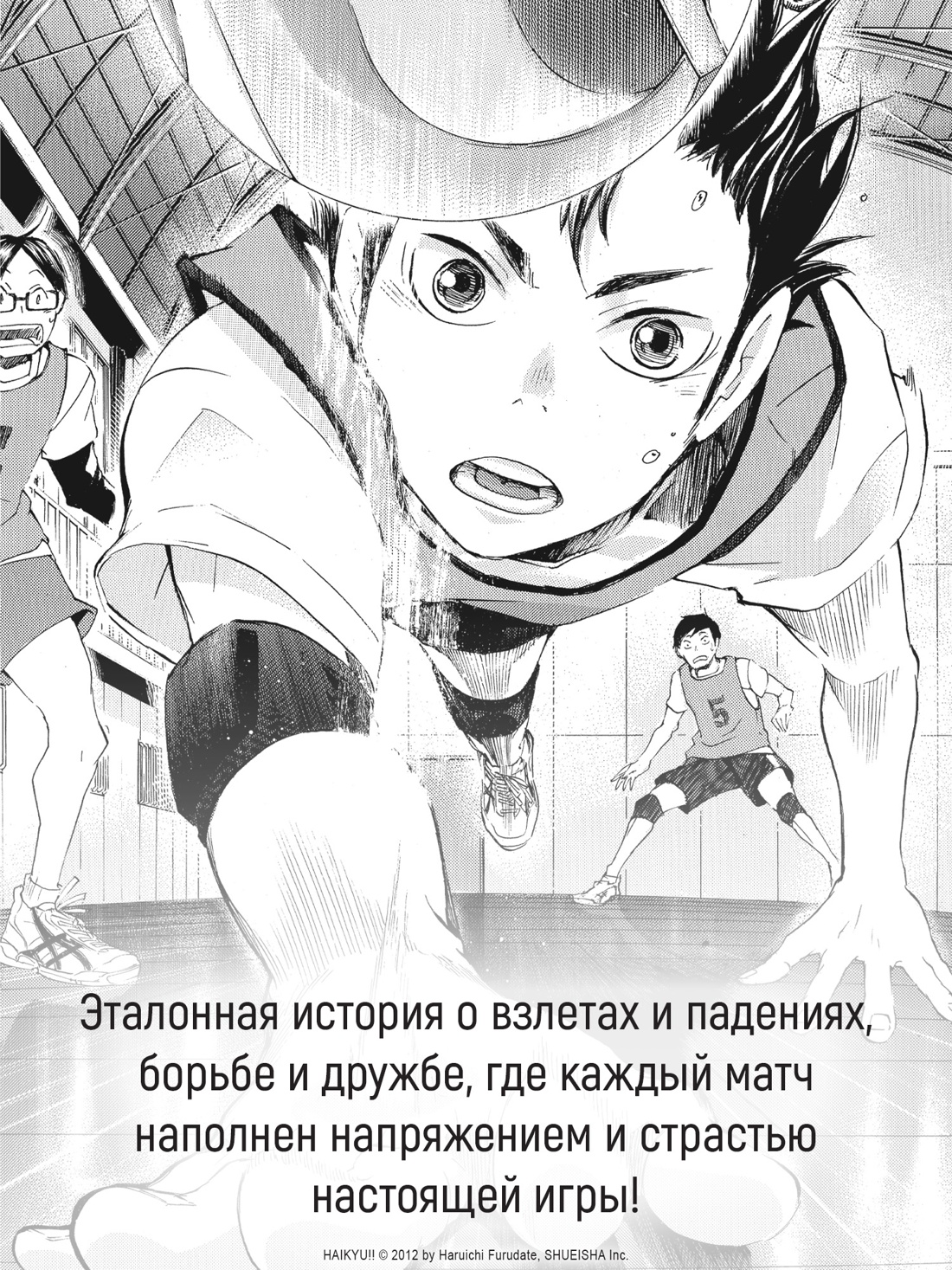 Промо материал к книге "Волейбол! Книга 2. Вперед, команда «Карасуно»! Соперники" №2
