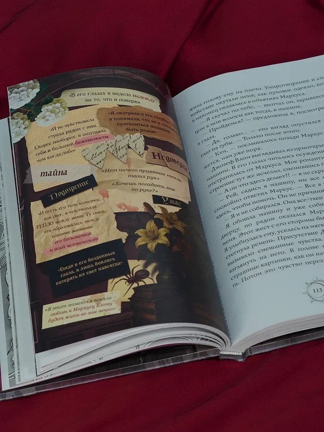 Промо материал к книге "Секреты семьи Блом. Поцелуй вампира" №13