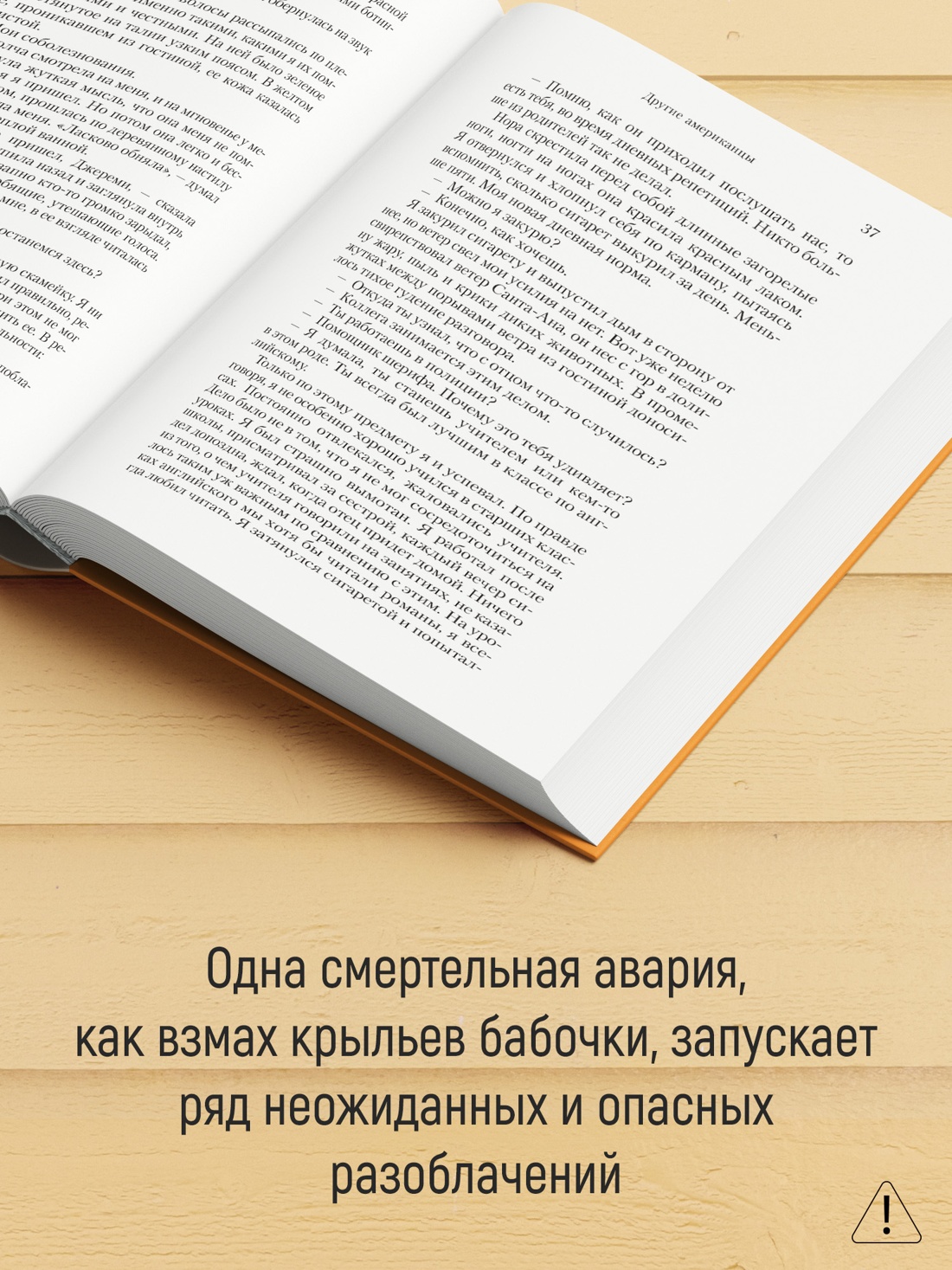 Промо материал к книге "Другие американцы" №2