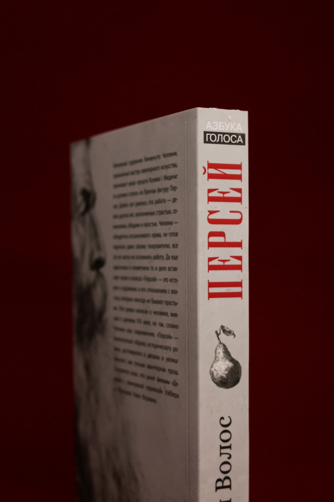 Промо материал к книге "Персей" №5