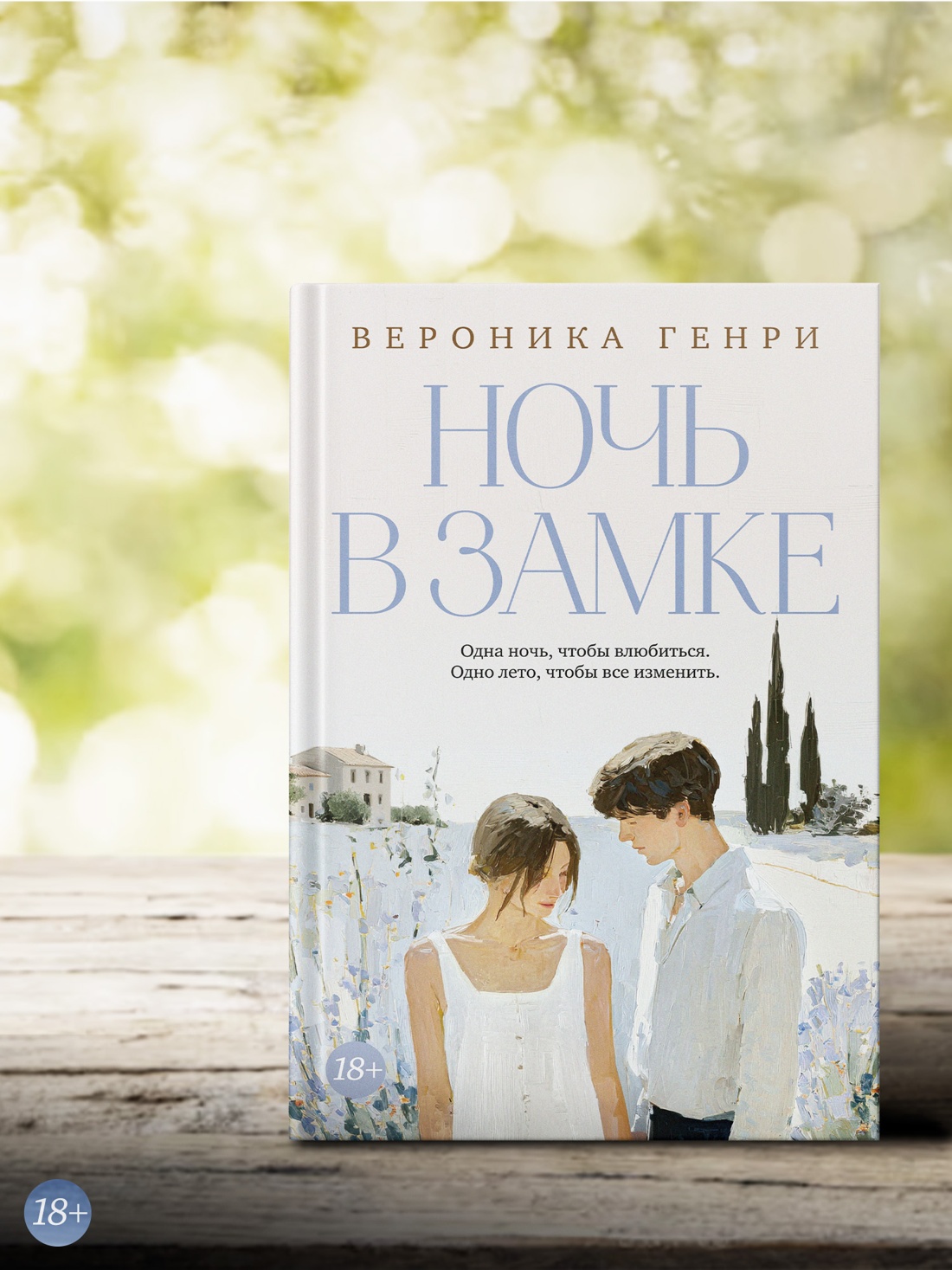 Промо материал к книге "Ночь в замке" №3