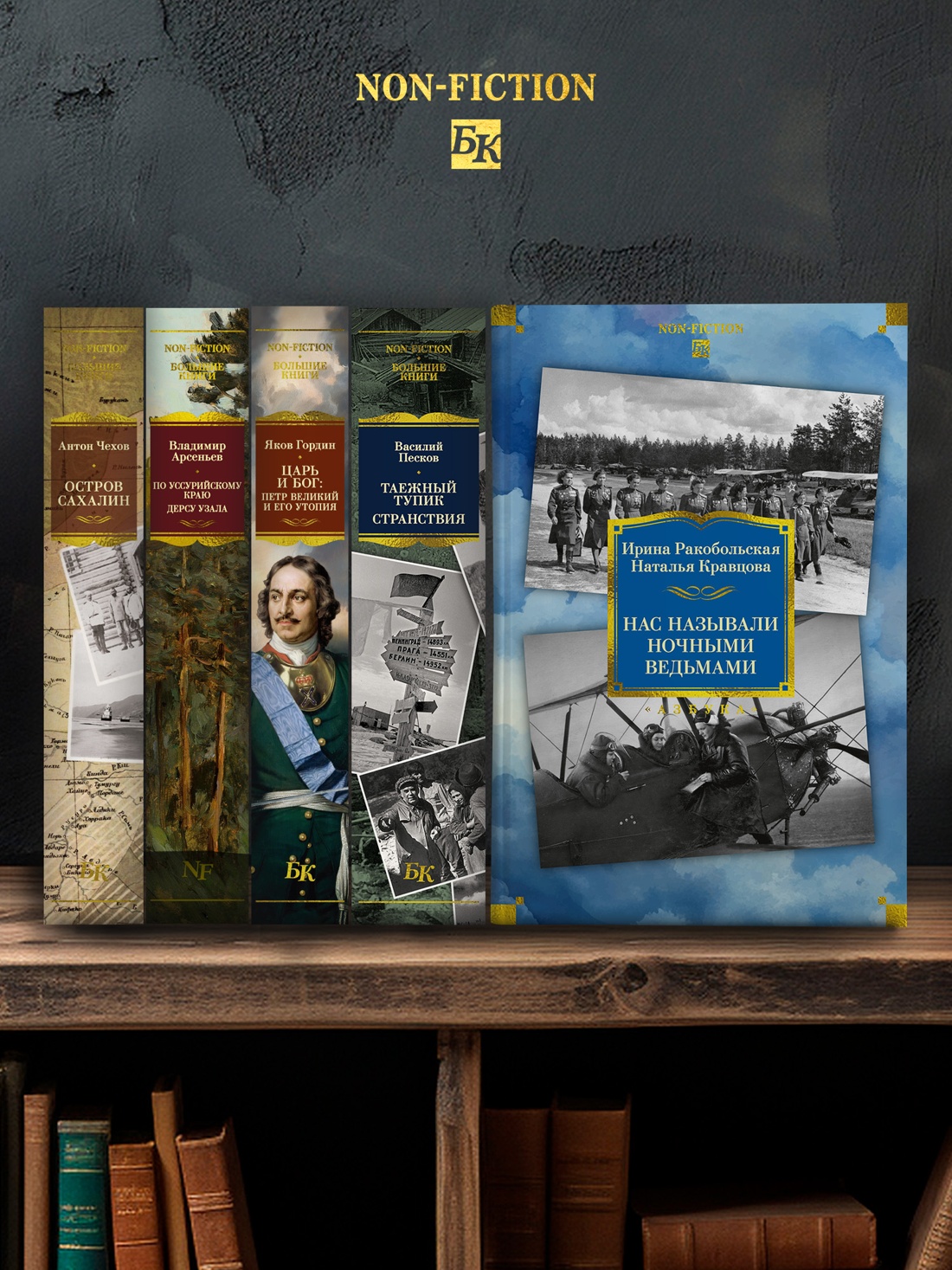 Промо материал к книге "Нас называли ночными ведьмами. Расширенное издание" №2