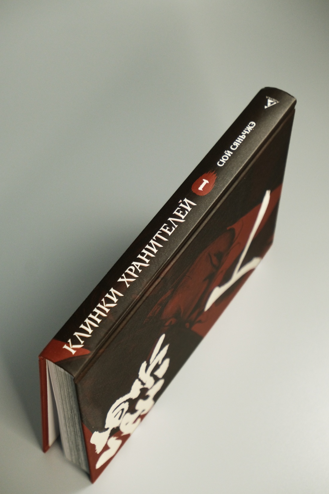 Промо материал к книге "Клинки хранителей. Книга 1" №12