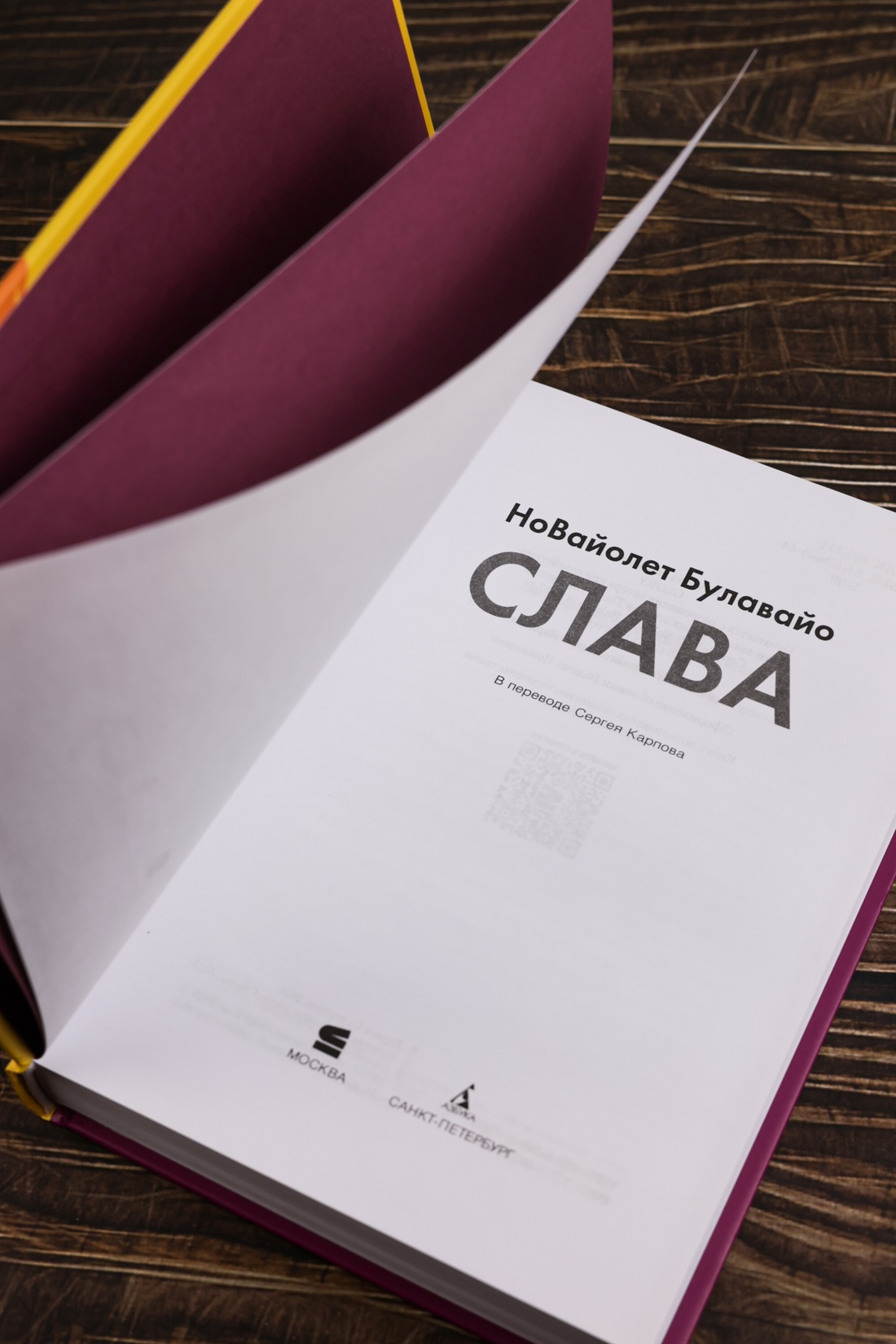 Промо материал к книге "Слава" №6