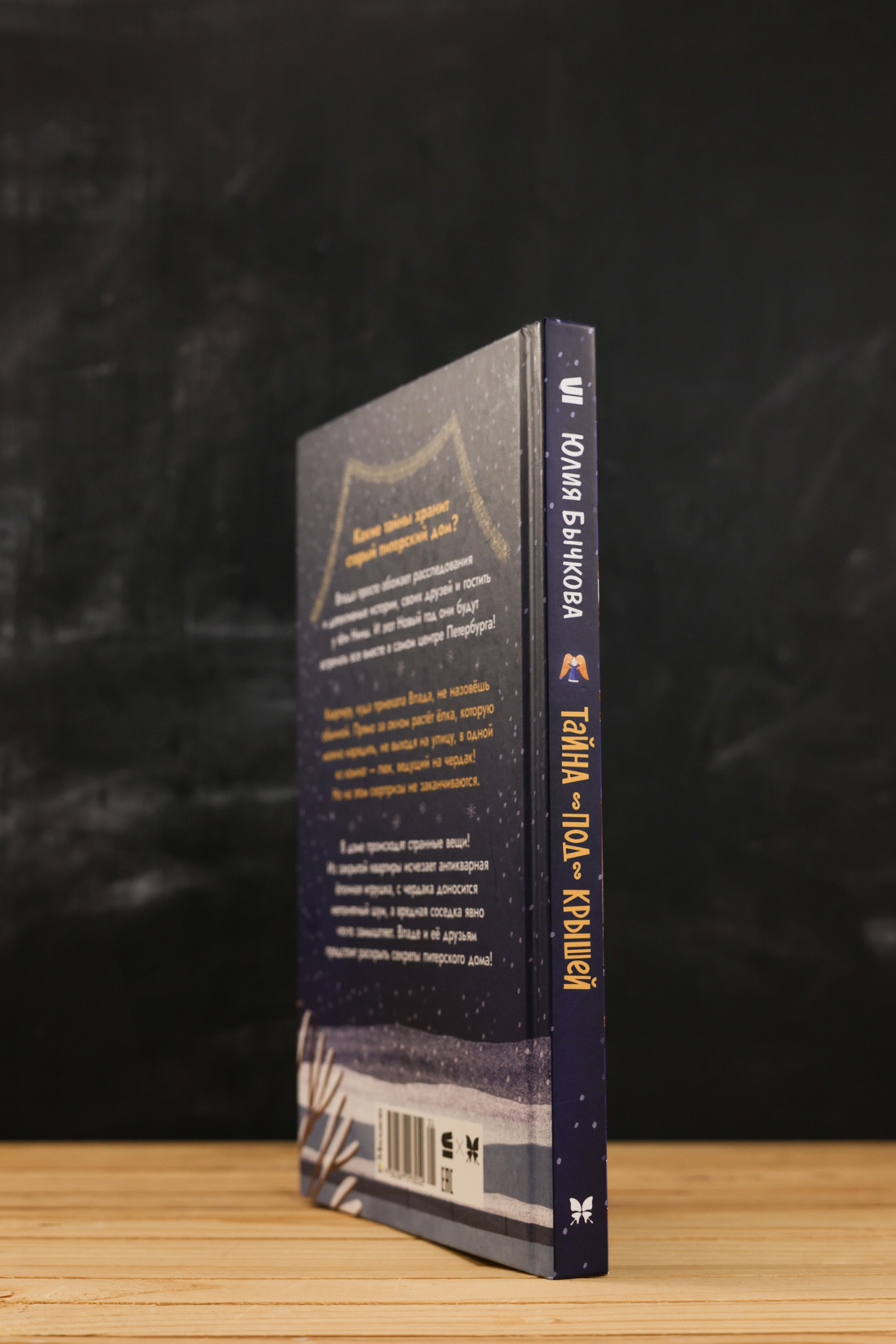 Промо материал к книге "Тайна под крышей" №7