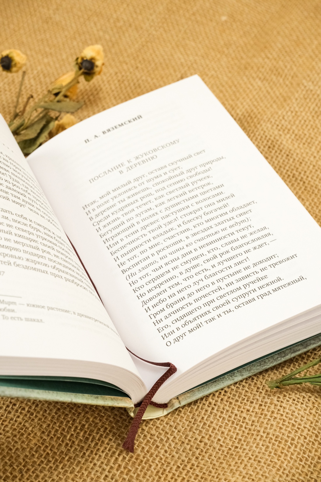 Промо материал к книге "Золотой век русской поэзии" №3