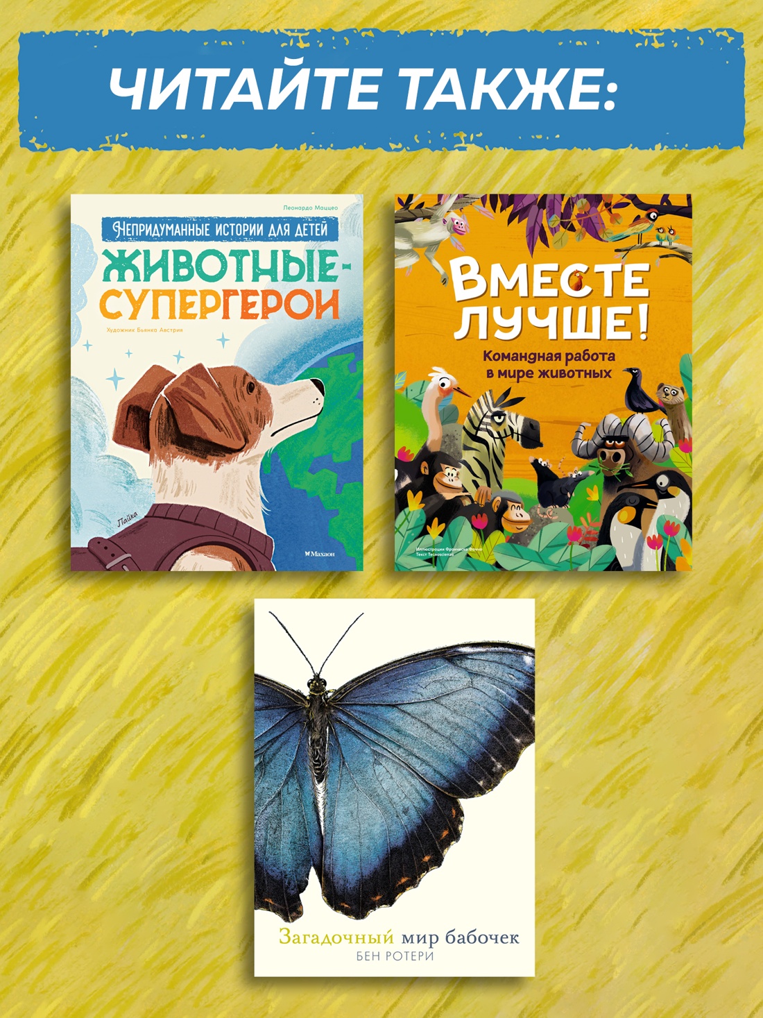Промо материал к книге "Невероятные коты. Всё, что нужно знать о любимых питомцах" №2