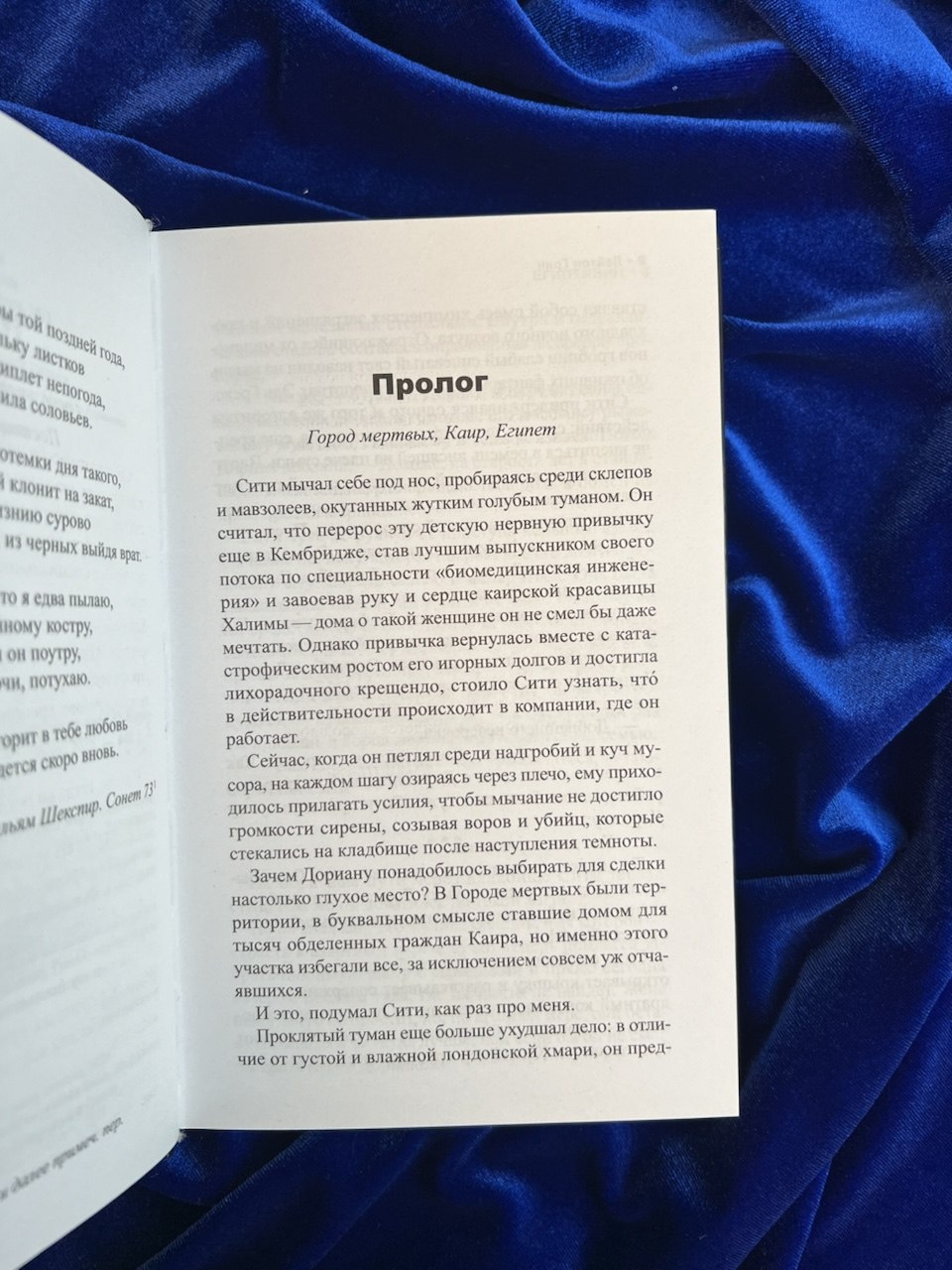 Промо материал к книге "Египтянин" №7