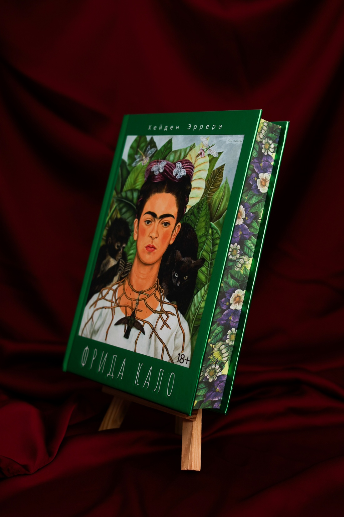 Промо материал к книге "Фрида Кало" №5