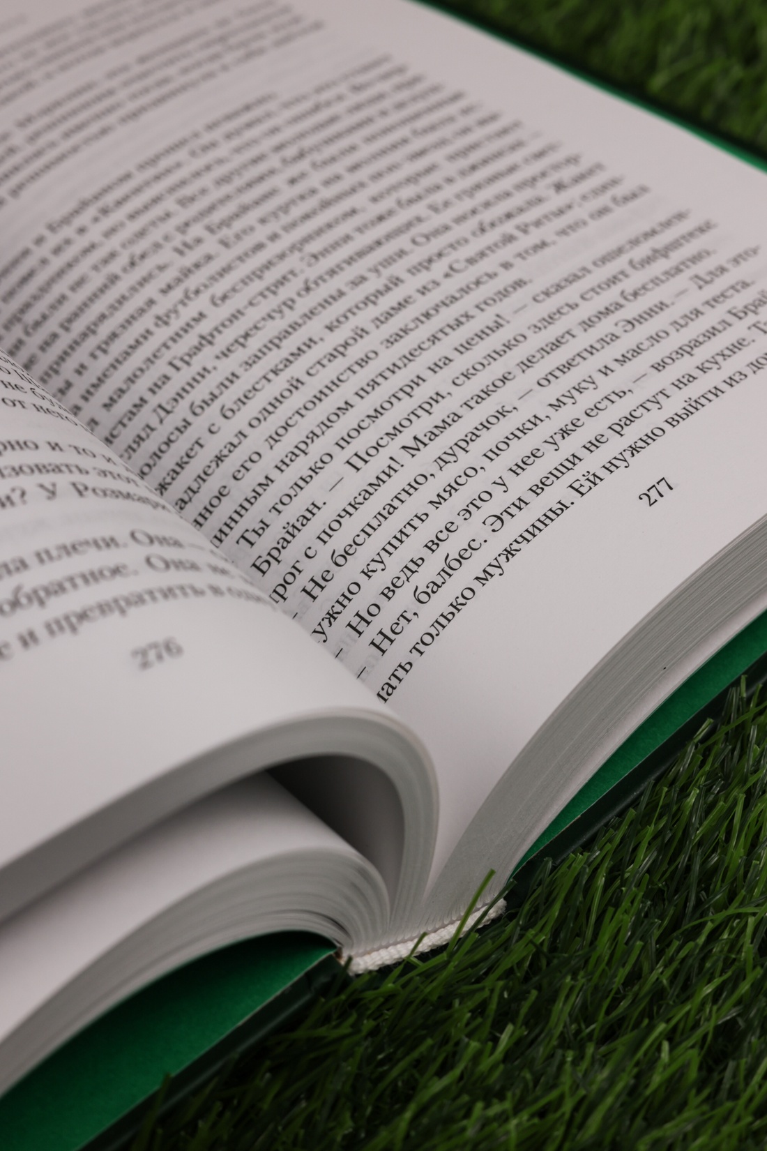 Промо материал к книге "Дом на Тара-роуд" №9