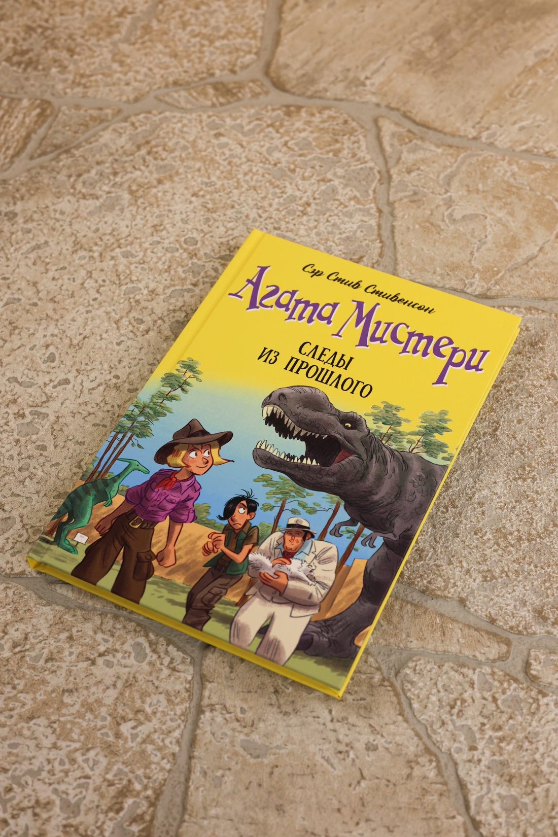 Промо материал к книге "Агата Мистери. Книга 34. Следы из прошлого" №6