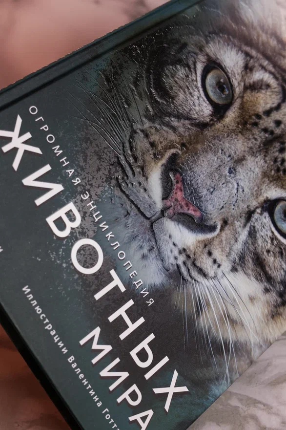 Промо материал к книге "Огромная энциклопедия животных мира" №6