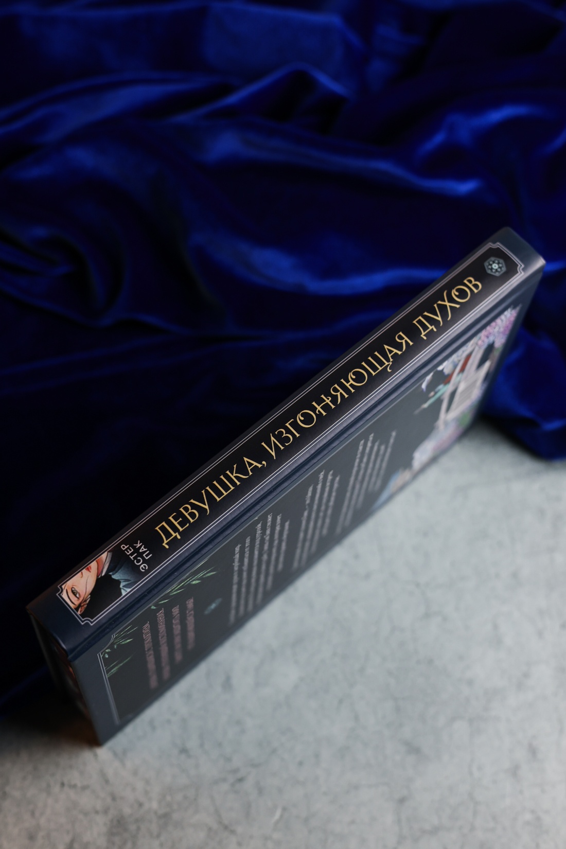 Промо материал к книге "Девушка, изгоняющая духов" №16