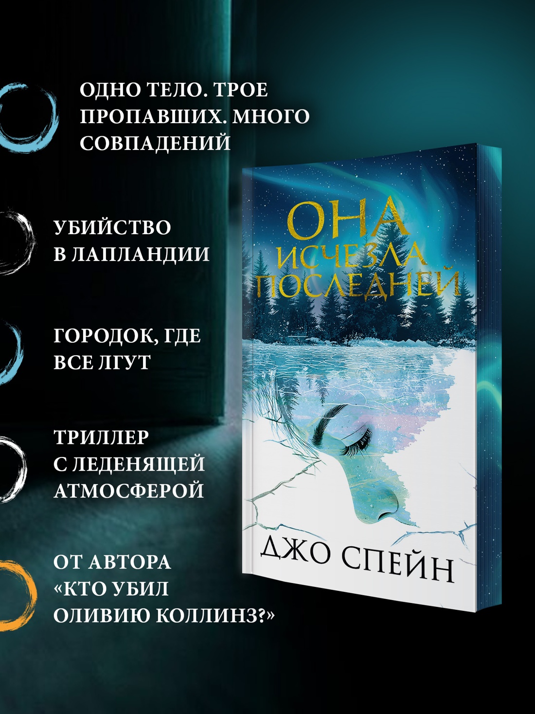Промо материал к книге "Она исчезла последней" №1