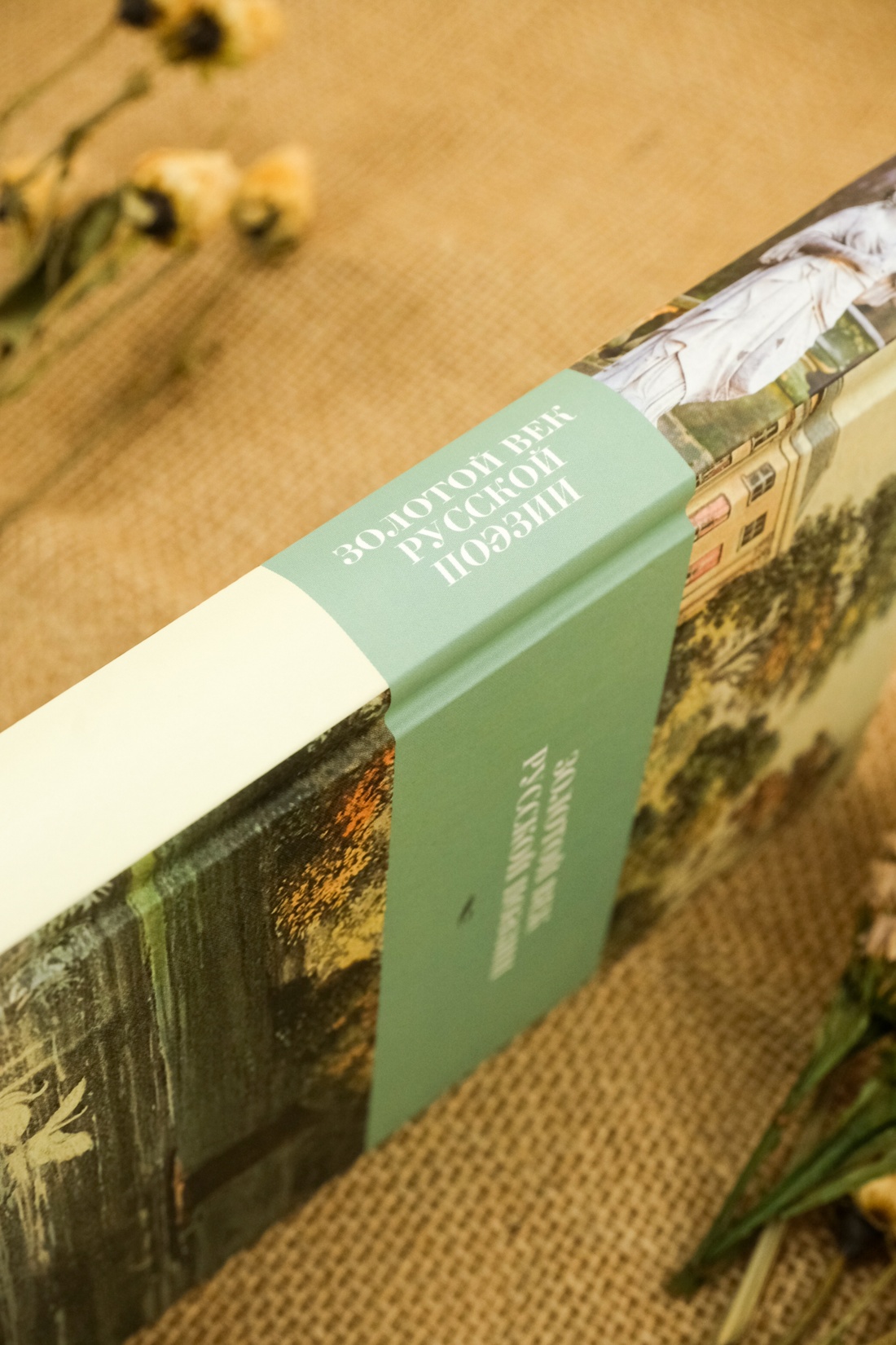 Промо материал к книге "Золотой век русской поэзии" №5