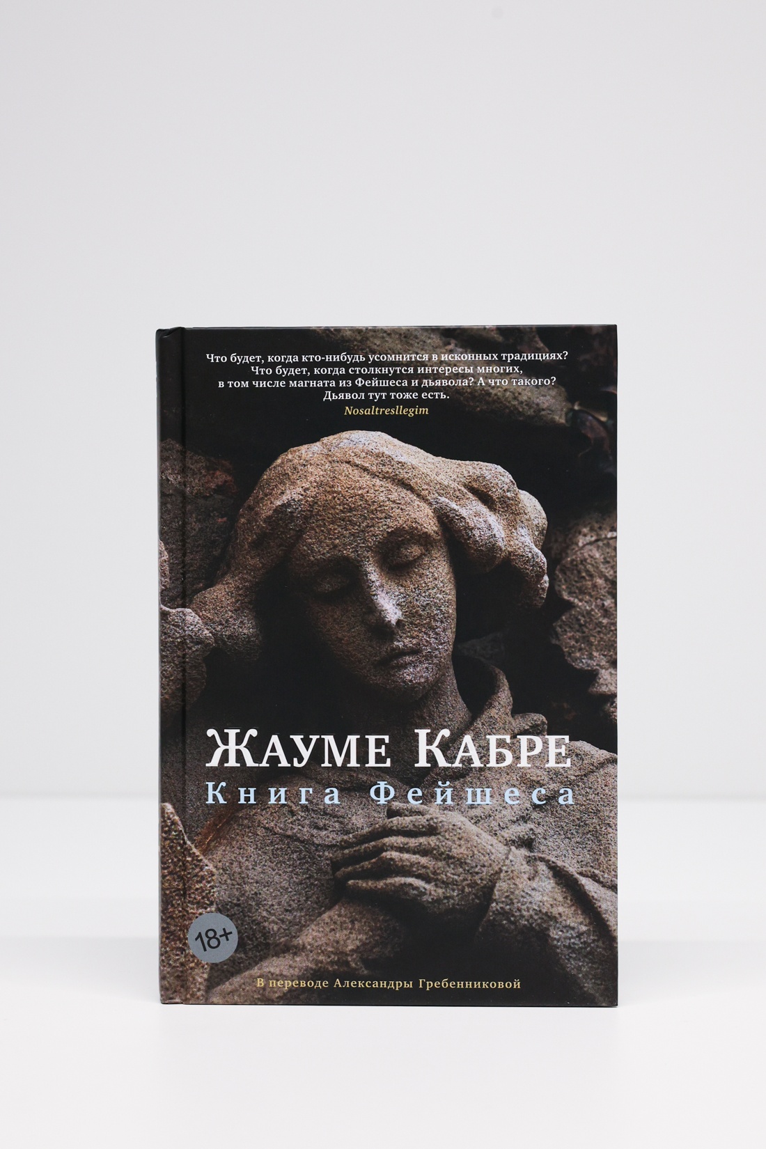 Промо материал к книге "Книга Фейшеса" №4