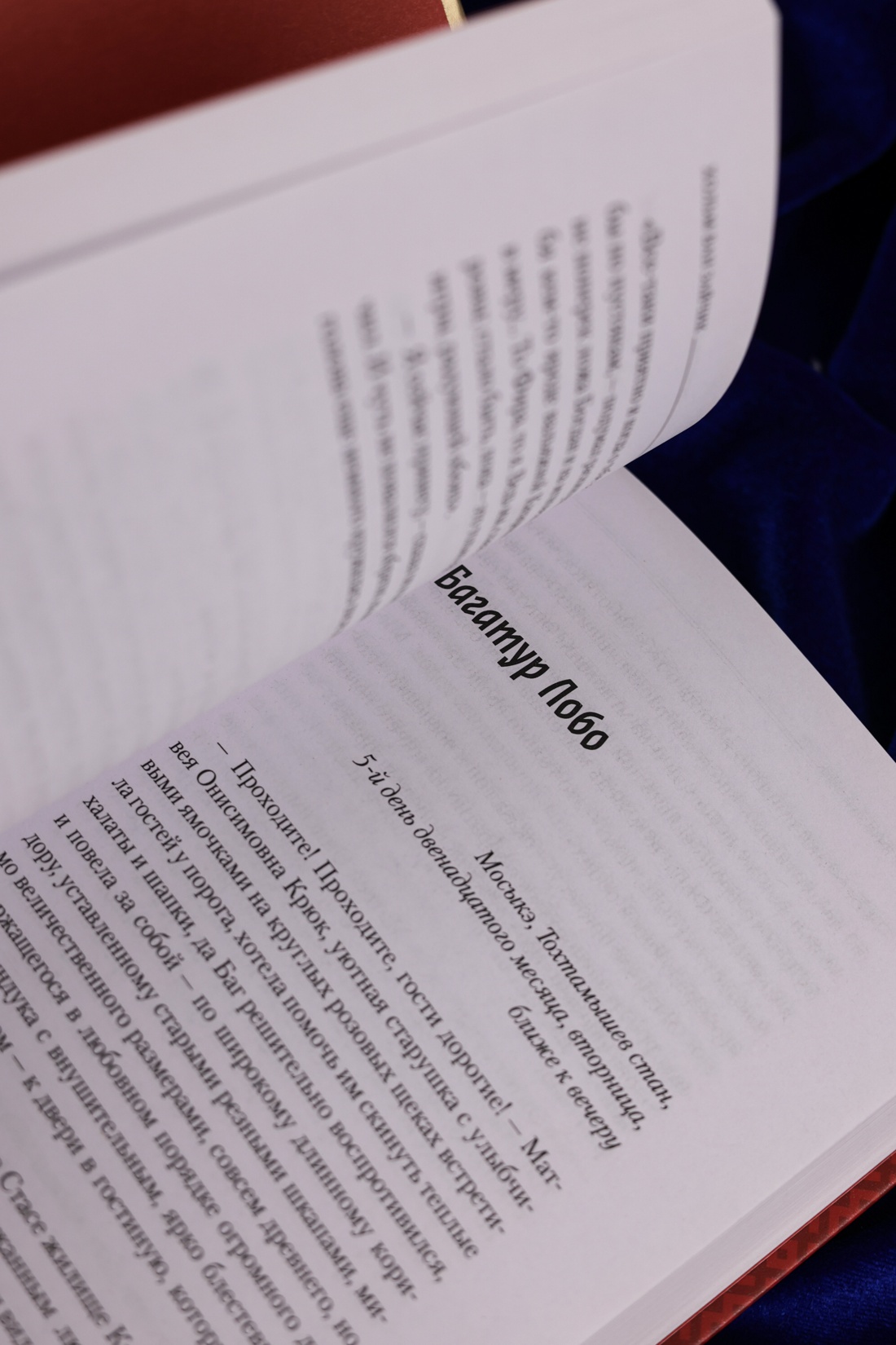 Промо материал к книге "Дело победившей обезьяны" №8