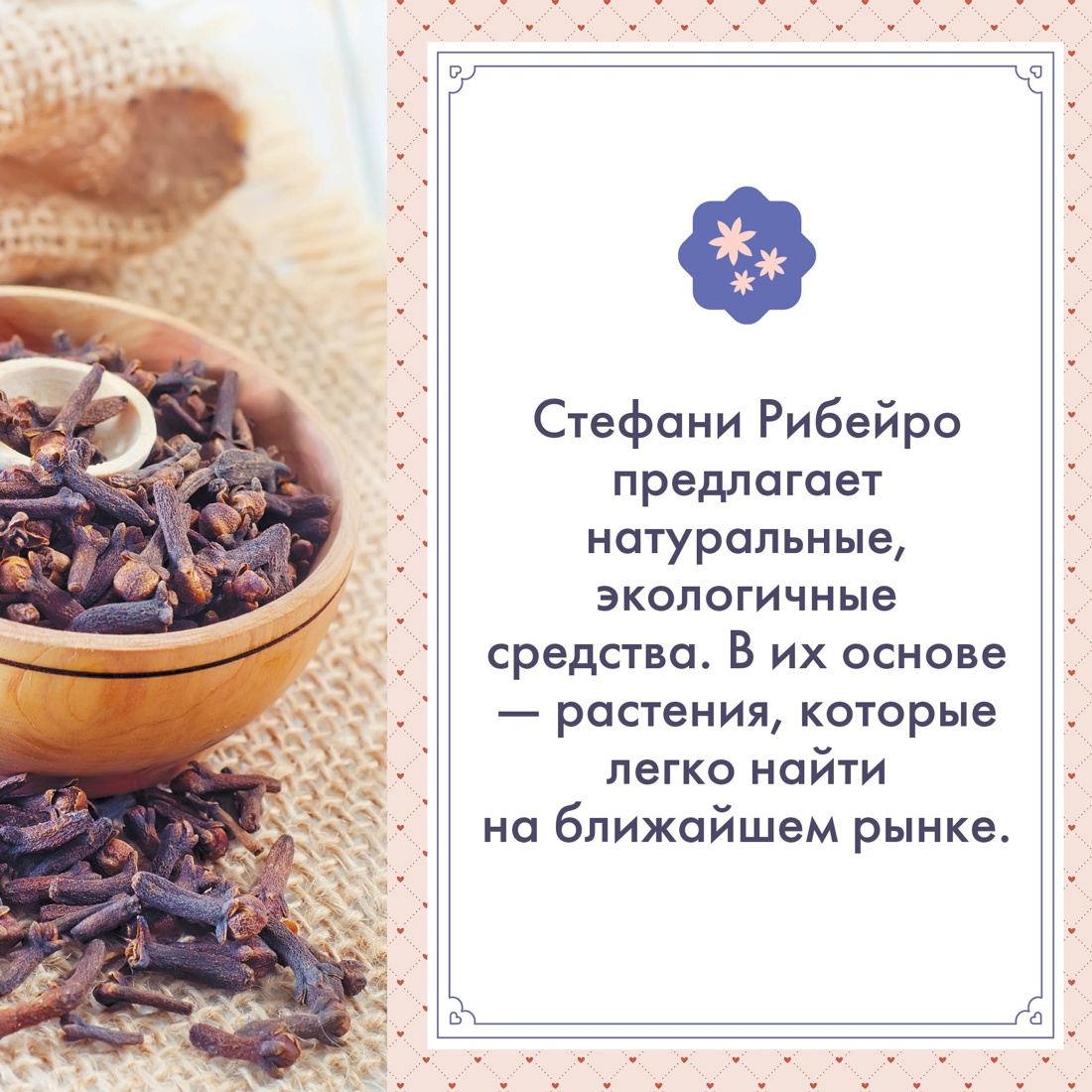 Промо материал к книге "Растения любви (+ эксклюзивный стикерпак) " №4