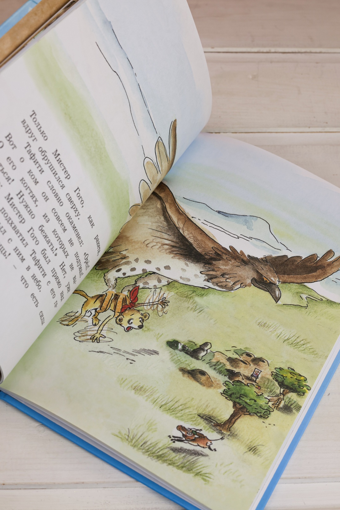 Промо материал к книге "Тафити и летающая корзина (Тафити)" №9