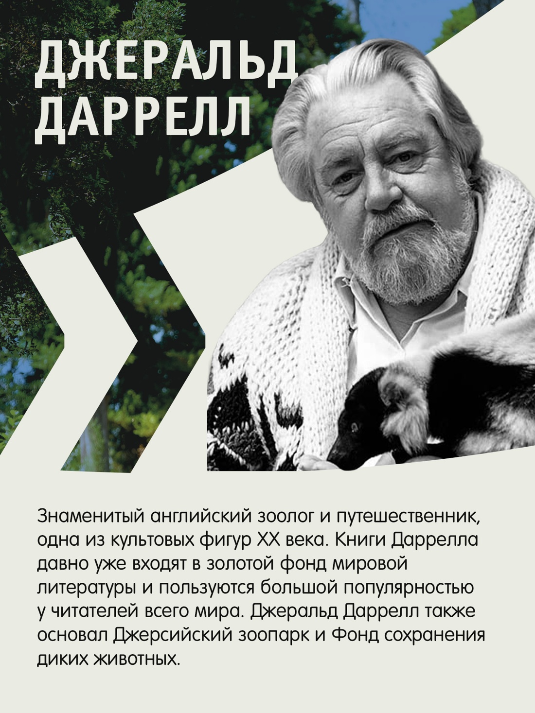 Промо материал к книге "Праздники, звери и прочие несуразности. Пикник и прочие кошмары. Выдать маму замуж" №2