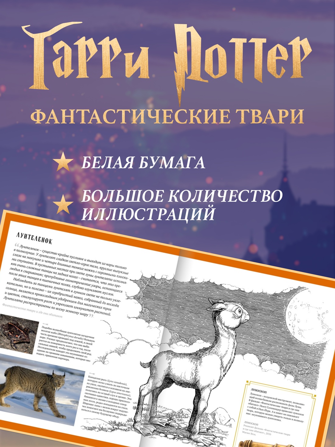 Промо материал к книге "Фантастические твари. Природа чудес волшебного мира" №2