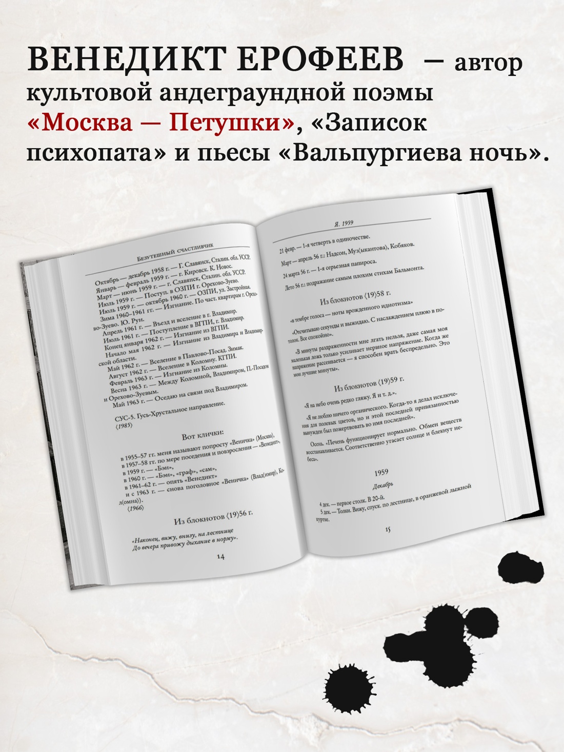 Промо материал к книге "Безутешный счастливчик. Из записных книжек" №1