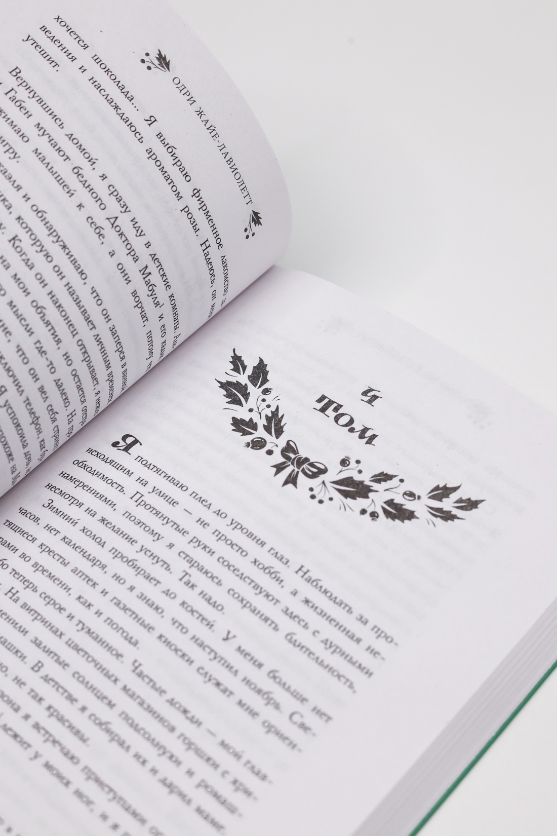Промо материал к книге "Розы цветут зимой" №10