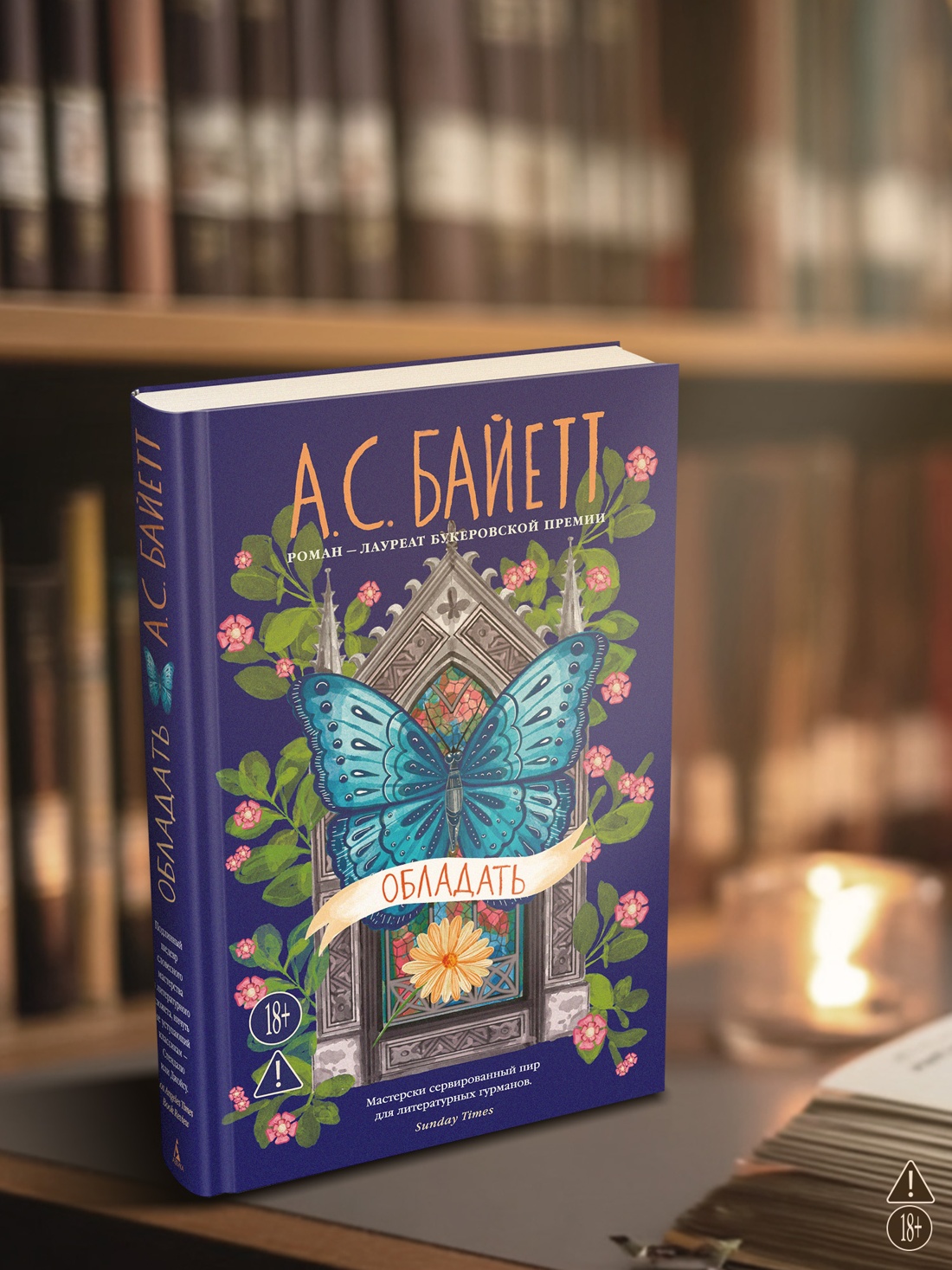 Промо материал к книге "Обладать" №5