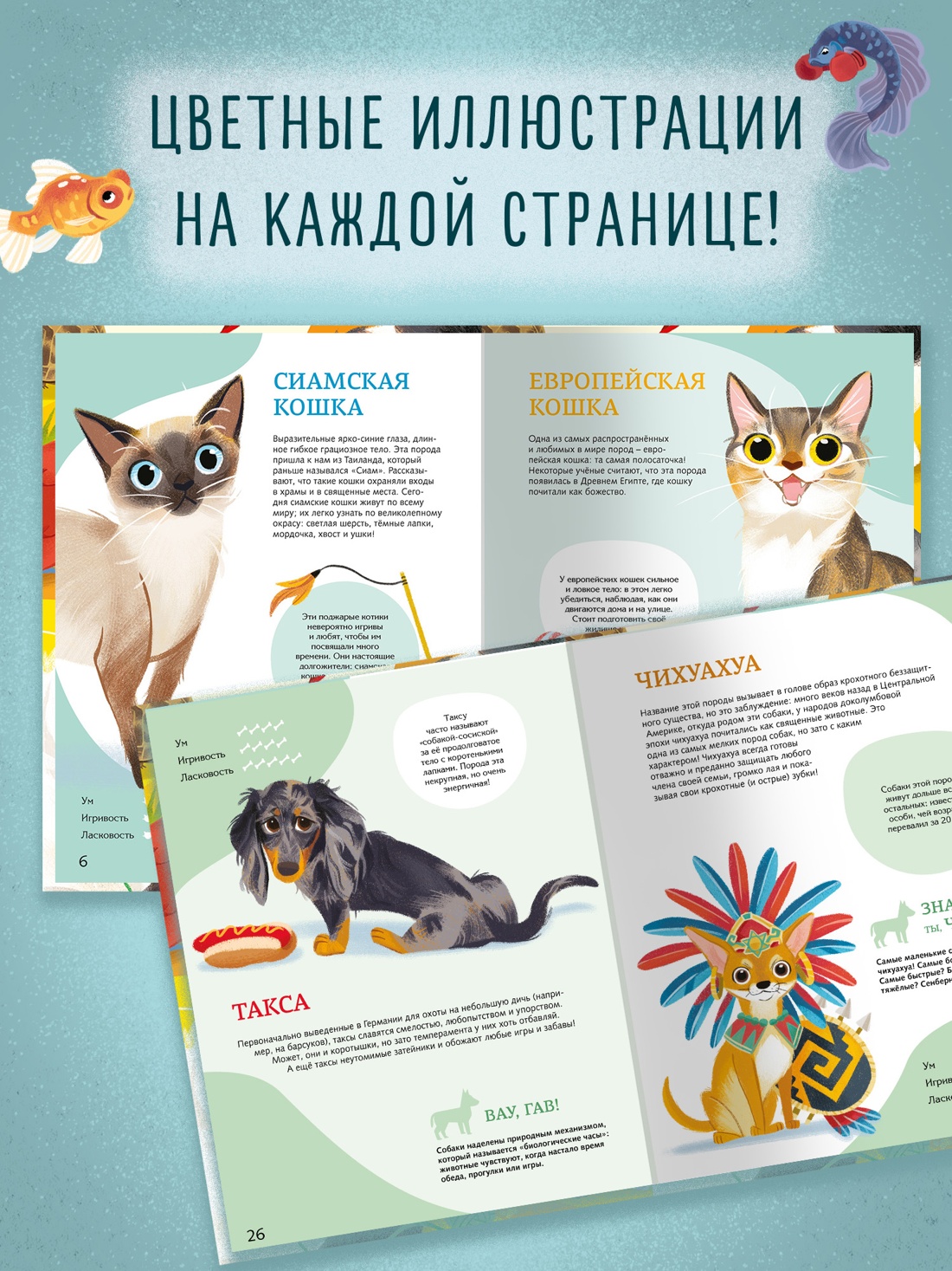 Промо материал к книге "Все-все-все домашние питомцы" №2