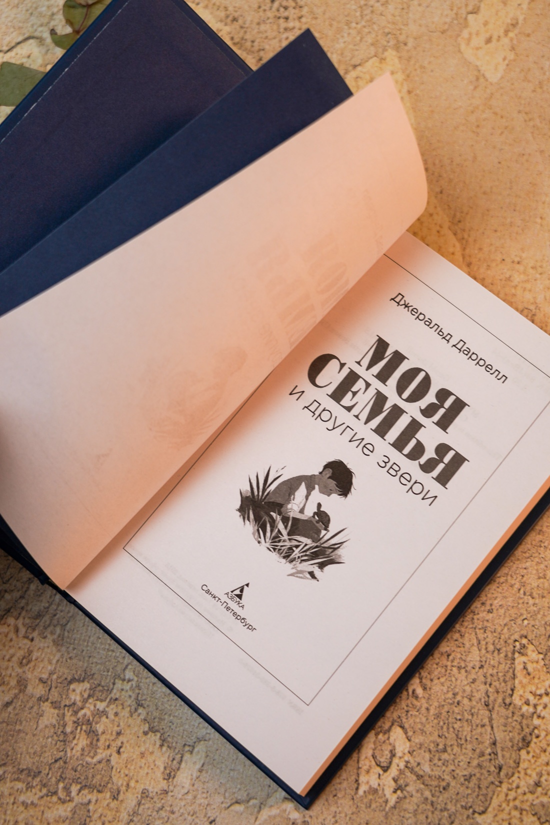 Промо материал к книге "Моя семья и другие звери (Настроение читать)" №8