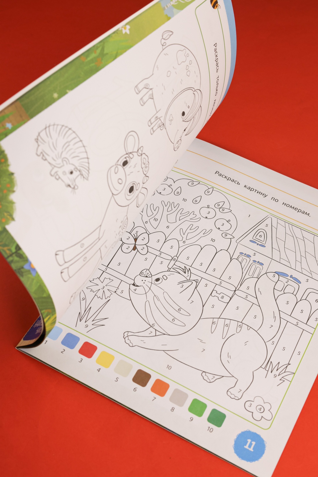 Промо материал к книге "Ася и Вася. Умные раскраски. Цвета природы" №7